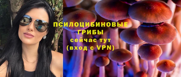 каннабис Абаза